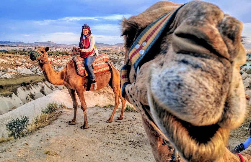 Camel Safari Tours